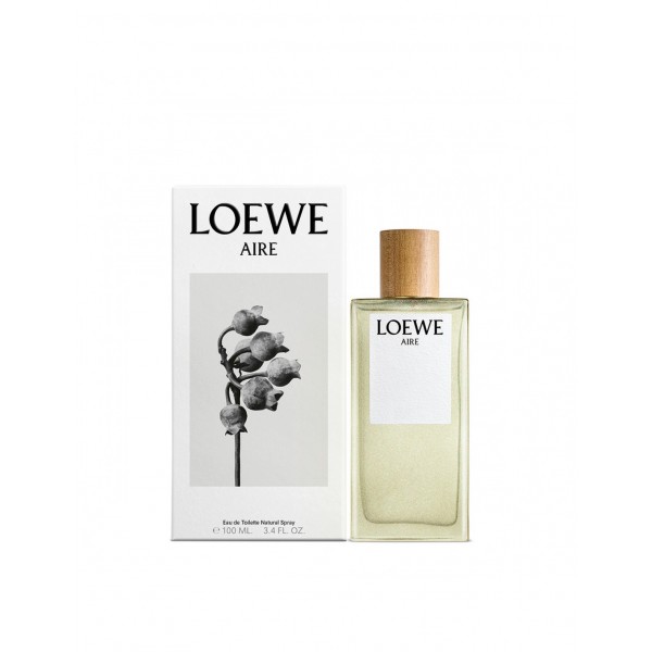 LOEWE AIRE