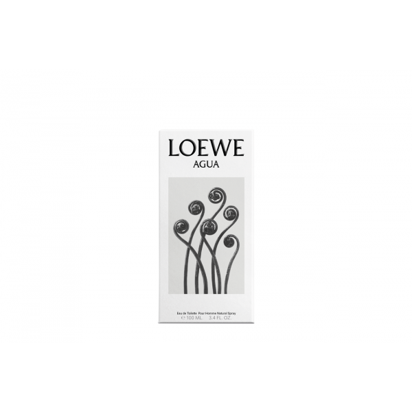 LOEWE AGUA