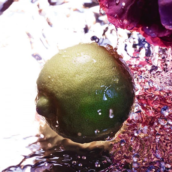 LA PETITE ROBE NOIRE NEW EDT