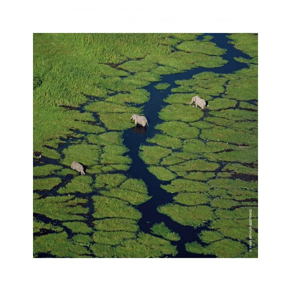 AQUA ALLEGORIA BERGAMOTE CALABRIA EAU...