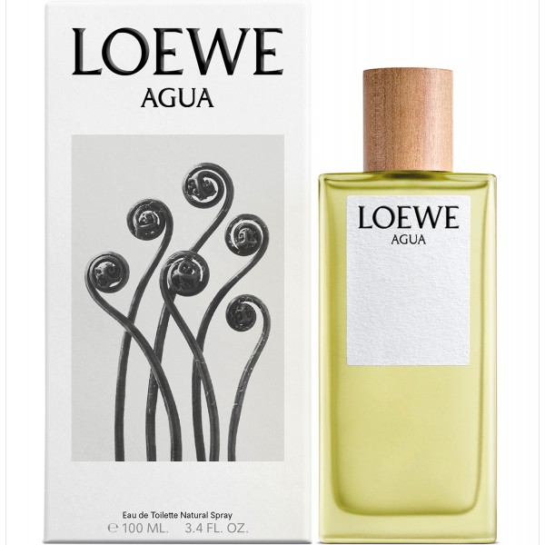 LOEWE AGUA