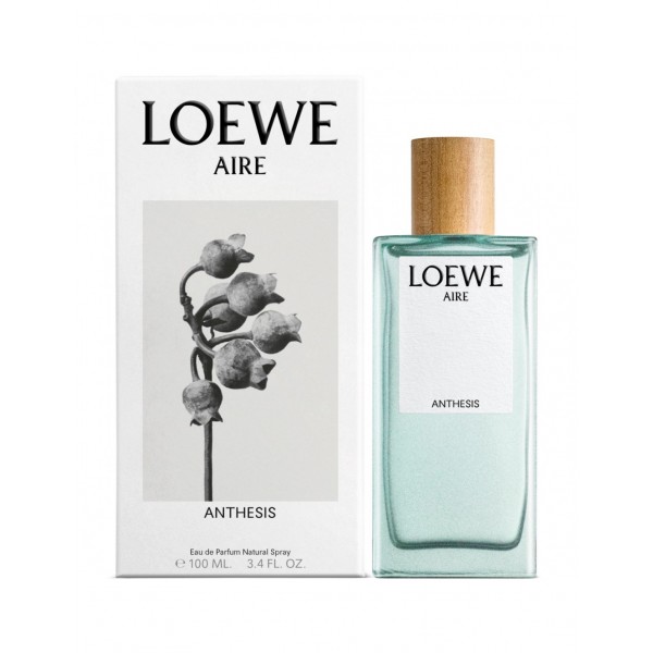 LOEWE AIRE ANTHESIS