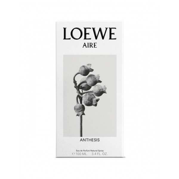 LOEWE AIRE ANTHESIS