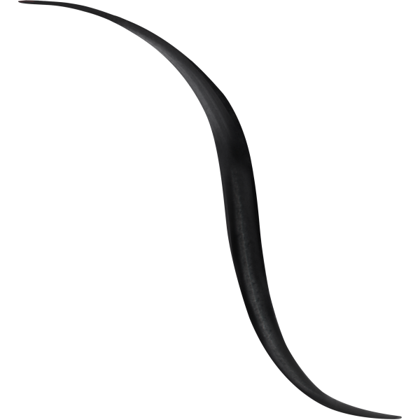 NOIR G EYELINER GRAPHIQUE 24H