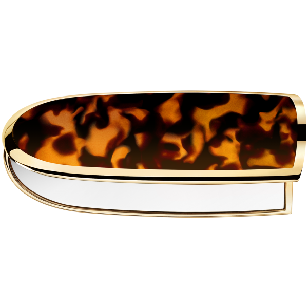 NEW ROUGE G DOUBLE MIRROR CASES