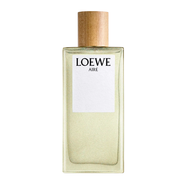 LOEWE AIRE